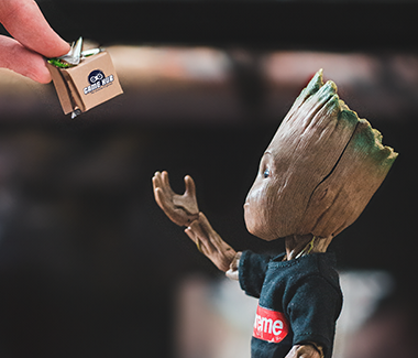 Groot