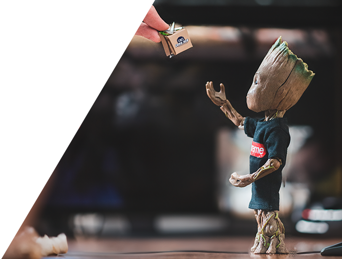 Groot
