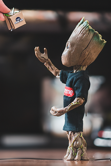 Groot